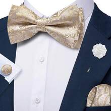 4Pcs Men Apricot Paisley Jacquard Bow Tie Pocket Square Cufflinks Brooch Set For Wedding Business Party - Apricot - View 2