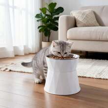 1 Set Non-Slip Stainless Steel Pet Bowl With Raised Stand To Protect Neck, Tilted Design To Prevent Spillage And Bloating, Suitable For Cats And Dogs, Comfortable Height To Promote Healthy Eating - 500ml - View 7