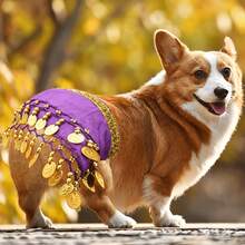 1PC Corgi Dog Party Costume Set, Sequin Waist Chain Hip Skirt, Suitable For Small Dog Birthday Halloween Dress Up - Multicolor - View 9