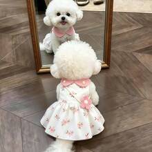Floral Print Dog Dress With Pink Collar, Sleeveless Mesh Pet Dress With Flower Details And Snap Closure - Pink - View 1