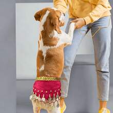 1PC Corgi Dog Party Costume Set, Sequin Waist Chain Hip Skirt, Suitable For Small Dog Birthday Halloween Dress Up - Multicolor - View 8