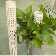White Modular Moss Pole, Plastic Climbing Plant Support, Easy Assembly, Monstera Deliciosa & Pothos Climbing Moss Pole - A - View 3