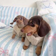 2pcs/Set Pet Lamb Fleece Vest Set, Warm Clothing For Cats, Home & Outdoor Wear, Suitable For Devon Rex, Sphynx Hairless Cats, High Collar Knitted Patchwork Thickened Skin-Friendly Button Vest - Coffee Brown - View 1