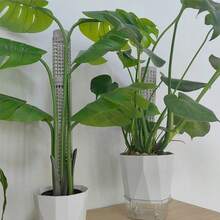 White Modular Moss Pole, Plastic Climbing Plant Support, Easy Assembly, Monstera Deliciosa & Pothos Climbing Moss Pole - A - View 4