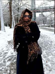 1pc Women Leopard Print Women Scarf, Elegant Versatile Winter Shawl, Suitable For Daily Use - Multicolor - View 5