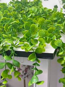 1pc Artificial Eucalyptus Hanging Vine Plant, Home Decor Desktop Office Potted Plant - Green - View 6