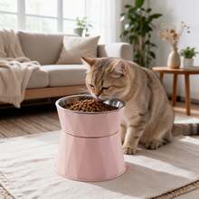 1 Set Non-Slip Stainless Steel Pet Bowl With Raised Stand To Protect Neck, Tilted Design To Prevent Spillage And Bloating, Suitable For Cats And Dogs, Comfortable Height To Promote Healthy Eating - 500ml - View 2