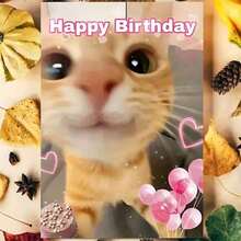 OBOVAY 1Pc Funny Birthday Card With Envelope - Cute Ginger Cat Design, Pink Balloon And Heart Pattern - Unique Creative Card Suitable For Pet Owners, Cat/Dog Enthusiasts, Friends, And Family - Perfect Birthday Gift, Festive Stationery, Fun Design - View 5