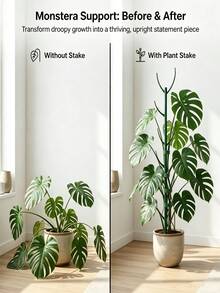 1/7/16/32pcs Bamboo Plant Support Stakes Set With Hook And Loop Ties And Clips, Stackable Tall Poles For Climbing Plant Stem Support, Plant Accessories Gardening Supplies Indoor Plant Rack - A - View 11