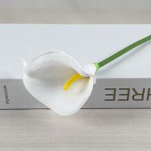 1pc Small Home Gardening Watering Can, Colorful Metal Watering Pot With Stickers - Candy Color Shower Head 2 - View 15