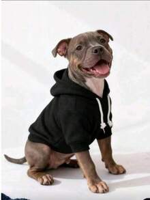 1pc Solid Color Korean Style Regular Sleeve Simple Versatile Pet Hoodie Comfortable Basic Style Suitable For Cats And Dogs Hooded Sweatshirt For Cats And Dogs Indoor And Outdoor - Black - View 8