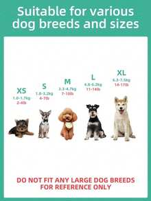 PETCIRCLE 1pc Pet Clothes For Small Dogs & Cats, Cool & Cute Outfit, Warm & Comfortable Home Wear, Autumn/Winter - Baby Blue - View 3