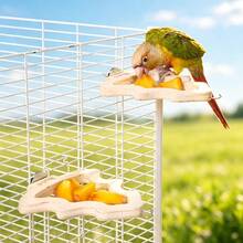ITANDME Bird Perch Platform, Multifunctional Bird Perch With Fruit Fork, Parrot Perch Suitable For Budgerigars, Lovebirds, And Sun Conures - View 8