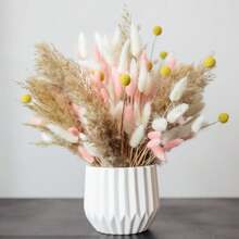Natural Pink Bunny Tail And Pampas Grass, 120 Dried Flowers For Room And Table Decoration - 120 Pcs - View 5