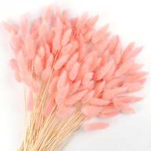 Natural Pink Bunny Tail And Pampas Grass, 120 Dried Flowers For Room And Table Decoration - 120 Pcs - View 7