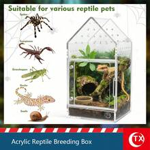 Acrylic Reptile Enclosure, Transparent Spider Breeding Box, Gothic-Style Tarantula Enclosure, Ventilated Reptile Tank, Suitable For Jumping Spiders, Lizards, And Insects. - Multicolor - View 4