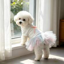 1pc 1pc Cute Dog Tutu Princess Dress, Lace Ribbon Bow Decor Puppy Skirt, Mesh Tulle Pet Costume Clothes For Small Dogs Bichon Teddy Daily Party Holiday Wear - White - View 6
