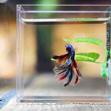 Aquarium Leaf Hammock Decorative Plants For Fish Resting Aquascape Decor - A - View 3