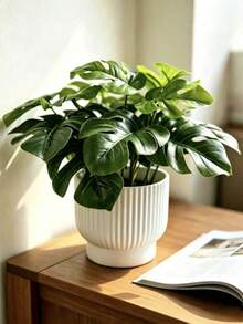 1/3pcs Artificial Monstera Potted Plant Plastic Pot Home Decor Accessory Ornament Small Acrylic Faux Plant Indoor Decoration, Suitable For Windowsill, Bathroom, Wall, Office Desk Fake Flower (2D - Not 3D) - Multicolor - View 4