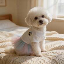 1pc Cartoon Bear Patch Dog Princess Tutu Dress Tulle Skirt Soft Pet Outfit For Small Dogs - White - View 4