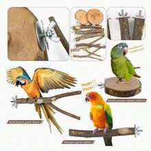 Multi-Style Natural Branch Perch Kit Bird Cage Accessory For Parrot Rest Climbing Easy To Install - Multi-functional Combination - View 5