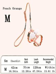 1pc Pet Leash Set, Three-Dimensional Angel Wing Decoration, Sweet Printed Webbing, I-Shaped Chest And Back Design, Dispersed Tension, Neck Less Chest And Back Traction Set, Suitable For Cats And Dogs - Multicolor - View 11