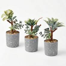 Artificial Potted Plants - Dark Grey - View 4