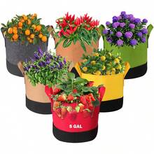 5件組拼接園藝植栽袋，5加侖容量，採用耐用350克布料製成，附手柄且通風良好，適用於蔬菜、花卉、水果，室內外皆可使用 - 多色-5色 - 查看 3