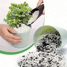 100g 0.3-3cm Horticultural Perlite Seedling Potting Soil,Soil Conditioner For Gardening, Water Retaining & Aeration - Multicolor - View 6