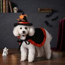 Pet Halloween Costume Set, Cute Witch Hat And Cape Outfit, Suitable For Cats And Dogs, Spooky Pumpkin And Spider Pattern Dress Up Clothes, Fun Party Photo Props, Suitable For Puppies And Kittens - Multicolor - View 7