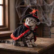 Pet Halloween Costume Set, Cute Witch Hat And Cape Outfit, Suitable For Cats And Dogs, Spooky Pumpkin And Spider Pattern Dress Up Clothes, Fun Party Photo Props, Suitable For Puppies And Kittens - Multicolor - View 5