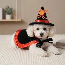 Pet Halloween Costume Set, Cute Witch Hat And Cape Outfit, Suitable For Cats And Dogs, Spooky Pumpkin And Spider Pattern Dress Up Clothes, Fun Party Photo Props, Suitable For Puppies And Kittens - Multicolor - View 6