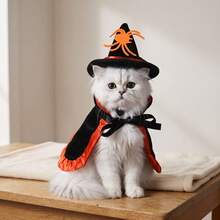 Pet Halloween Costume Set, Cute Witch Hat And Cape Outfit, Suitable For Cats And Dogs, Spooky Pumpkin And Spider Pattern Dress Up Clothes, Fun Party Photo Props, Suitable For Puppies And Kittens - Multicolor - View 8