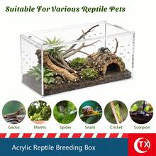 Acrylic Reptile Enclosure, Transparent Spider Breeding Box, Gothic-Style Tarantula Enclosure, Ventilated Reptile Tank, Suitable For Jumping Spiders, Lizards, And Insects. - Multicolor - View 8