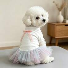 1pc 1pc Cute Dog Tutu Princess Dress, Lace Ribbon Bow Decor Puppy Skirt, Mesh Tulle Pet Costume Clothes For Small Dogs Bichon Teddy Daily Party Holiday Wear - White - View 11