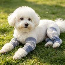 Pet Outdoor Dog Joint Socks Small Teddy Corgi Knee Pads Anti-Urine Anti-Dirt Non-Constricting All Season Use - Multicolor - View 4