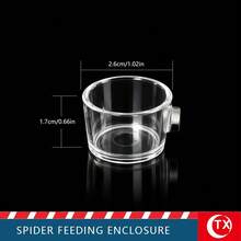 Acrylic Reptile Enclosure, Transparent Spider Breeding Box, Gothic-Style Tarantula Enclosure, Ventilated Reptile Tank, Suitable For Jumping Spiders, Lizards, And Insects. - Multicolor - View 11