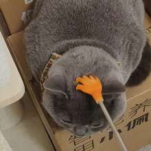 Retractable Realistic Hand Pet Scratching Toy Mimics Owner's Touch Cat Teaser Wand Fun Grooming Brush - Multicolor - View 8