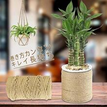 猫 爪とぎ  麻ロープ ポール  リペアロープ麻縄 長さ100m  爪とぎ用 猫タワー 麻紐 手作り DIY 園芸 荷造り 手芸 飾り キャットタワーの補修用 麻縄 猫タワー 麻ひも 天然繊維 DIY用 手作り 修理 4mm 6mm - 4mm - チェックする 5