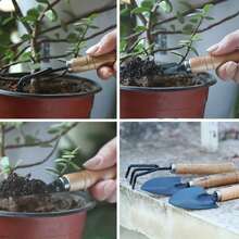 1 Set Home Gardening Tool Kit, Wooden Handle Small Iron Shovel & Rake 3pcs Set, Colorful Watering Can, Balcony Succulent Potted Plant Soil Loosening & Transplanting Watering Tools, Halloween Christmas Gift - Multiple Styles - View 10