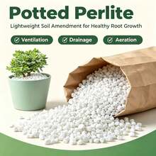 100g 0.3-3cm Horticultural Perlite Seedling Potting Soil,Soil Conditioner For Gardening, Water Retaining & Aeration - Multicolor - View 1