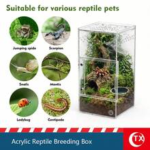 Acrylic Reptile Enclosure, Transparent Spider Breeding Box, Gothic-Style Tarantula Enclosure, Ventilated Reptile Tank, Suitable For Jumping Spiders, Lizards, And Insects. - Multicolor - View 6