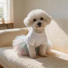 1pc 1pc Cute Dog Tutu Princess Dress, Lace Ribbon Bow Decor Puppy Skirt, Mesh Tulle Pet Costume Clothes For Small Dogs Bichon Teddy Daily Party Holiday Wear - White - View 5