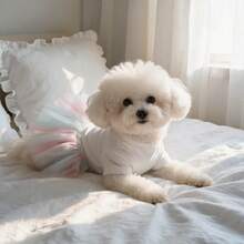 1pc 1pc Cute Dog Tutu Princess Dress, Lace Ribbon Bow Decor Puppy Skirt, Mesh Tulle Pet Costume Clothes For Small Dogs Bichon Teddy Daily Party Holiday Wear - White - View 7