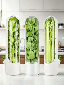 Refrigerator Herb Storage Box, Refrigerator Herb Storage Container, Suitable For Cilantro, Mint, Parsley, Asparagus And Other Vegetables, Can Keep Fresh For 2-3 Weeks - Multicolor - View 4