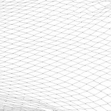 Nylon Bird Netting, Black 1*1‑Inch Mesh Protective Net For Orchards Gardens Chicken Coops Fruit Plant Protection - B - View 9