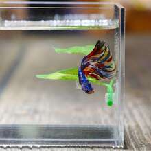 Aquarium Leaf Hammock Decorative Plants For Fish Resting Aquascape Decor - A - View 2