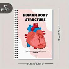 Student Anatomy Practice Workbook - Human Body Structure Guide, Muscle, Organ And Skeleton Study Notebook With Illustrations - Includes Human Organ Anatomy Diagrams Series, Size 5.5" X 8.3", Thick Cover, Suitable For Learning, Medical Education, Anatomy Research, Compact And Portable, Affordable And Sturdy, High-Quality Paper, Study Guide, Human Organ Diagrams, Essential For Medical Students And Healthcare Professionals - Colorful - View 8