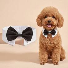 1pc Adjustable Bow Collar For Pet Dogs And Cats, Puppy Bowknot, Pet Cat Holiday Wedding Decoration Accessory, Suitable For Small Dogs - Black and White - View 2