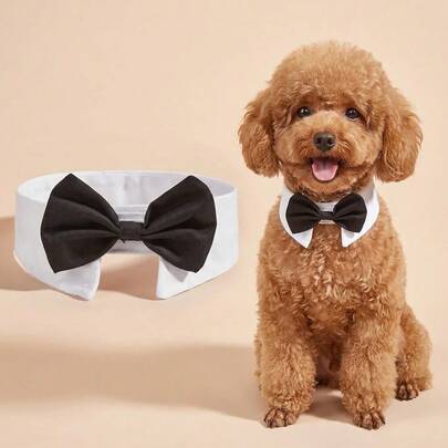 1pc Adjustable Bow Collar For Pet Dogs And Cats, Puppy Bowknot, Pet Cat Holiday Wedding Decoration Accessory, Suitable For Small Dogs
